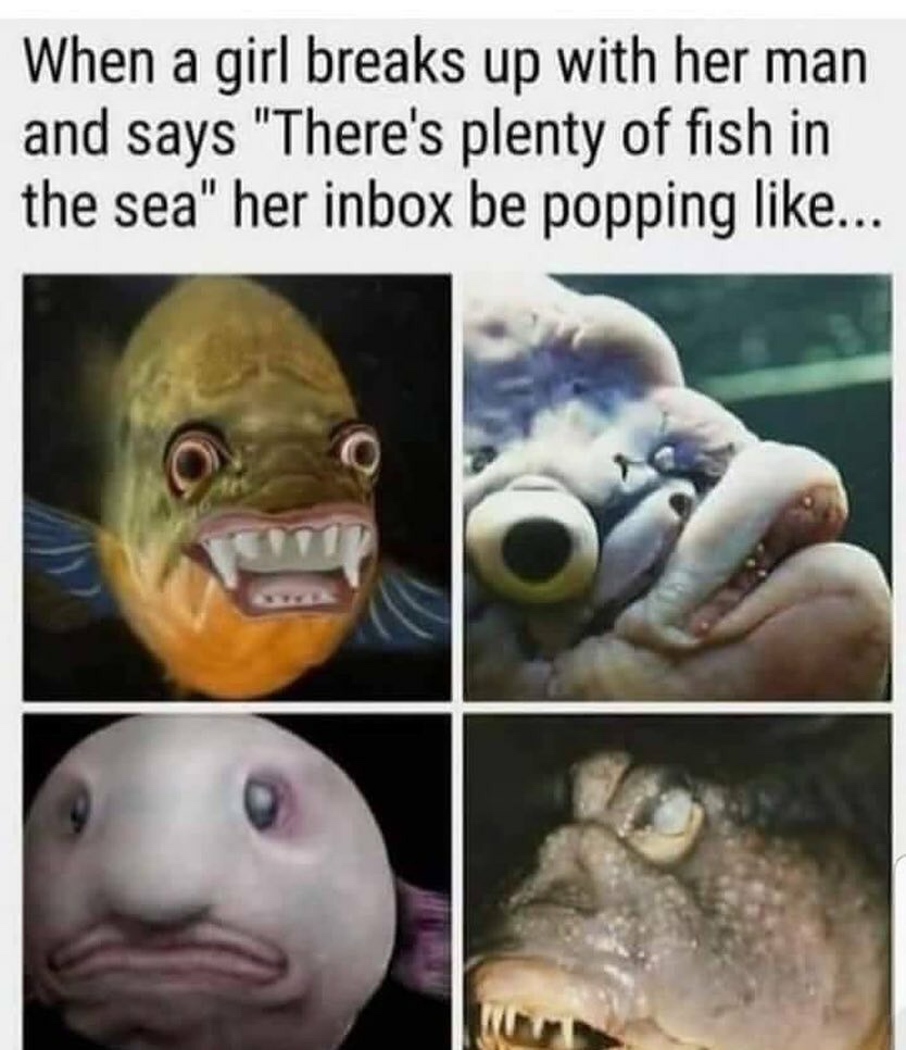 30 Stupid Memes That Deserve An Eye Roll 15 Plenty of fish in sea - stupid memes