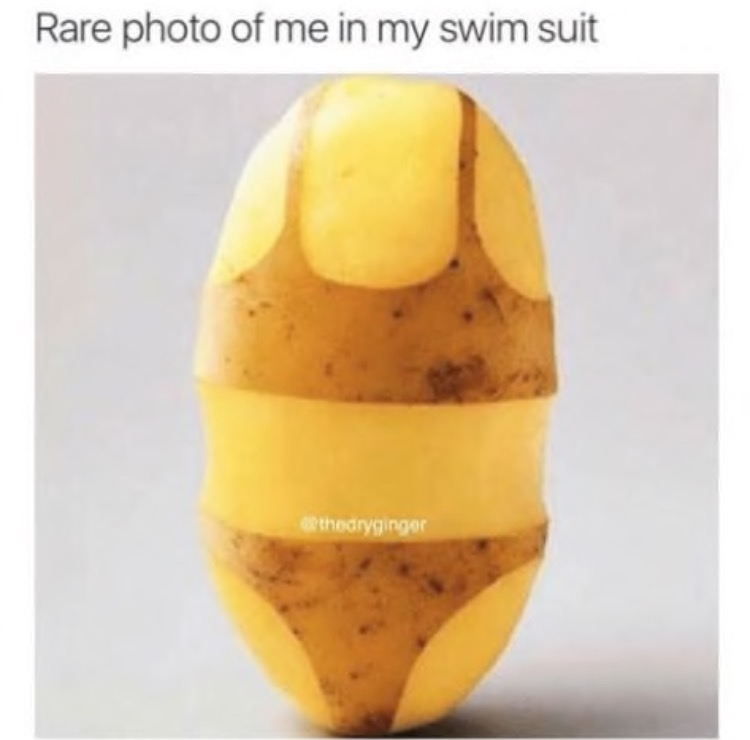 35 Summer Memes That Will Make You Sweat… With Laughter! 22 Rare foto of me in my swimsuit - summer memes