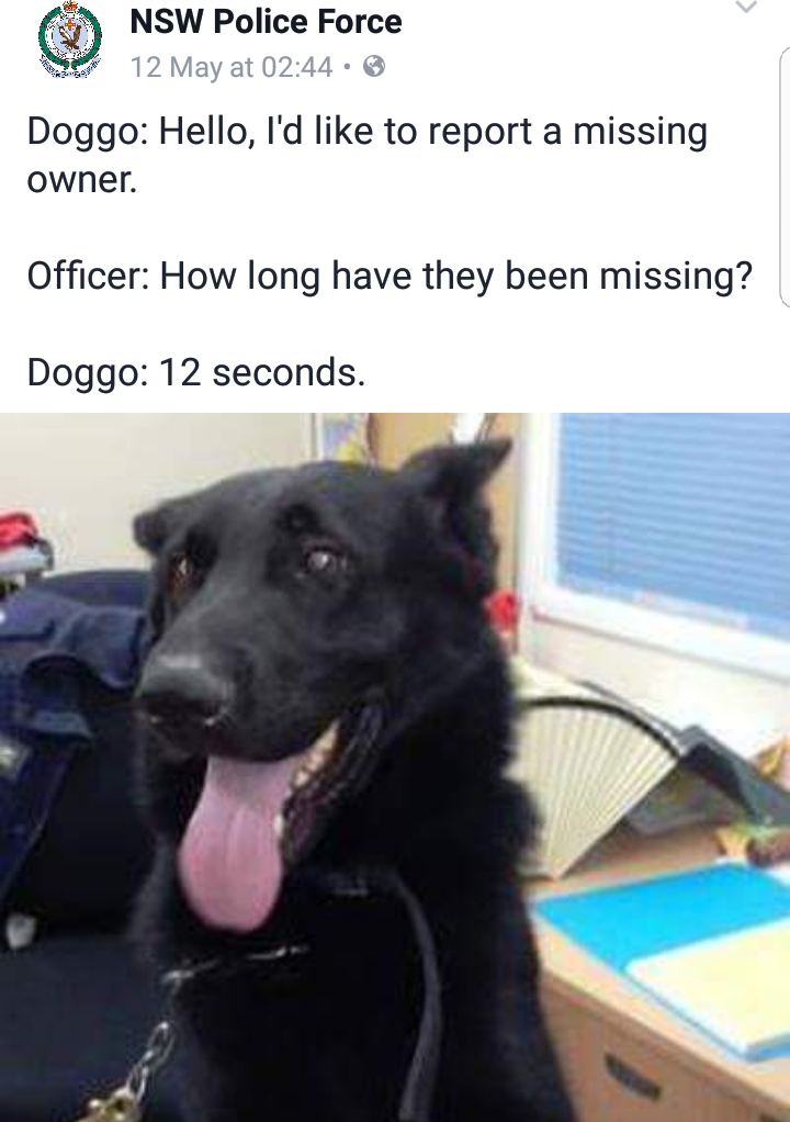 20 Hilarious NSW Police Posts: When Law Enforcement Meets Stand-Up Comedy 13 Report a missing owner - NSW Police