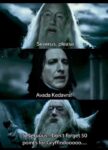 severus meme