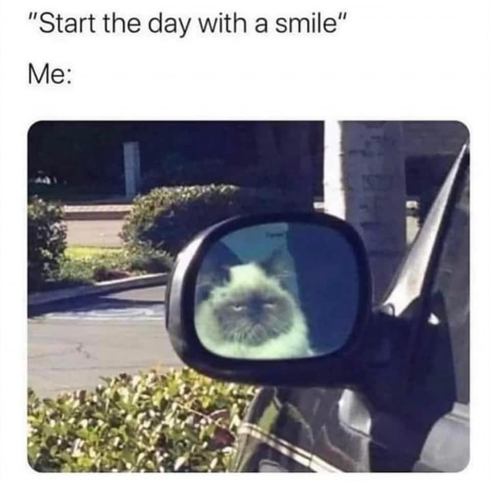25 Clawsome Cat Memes: Get Ready To Laugh Your Whiskers Off! 11 Start the day with a smile - Cat Memes
