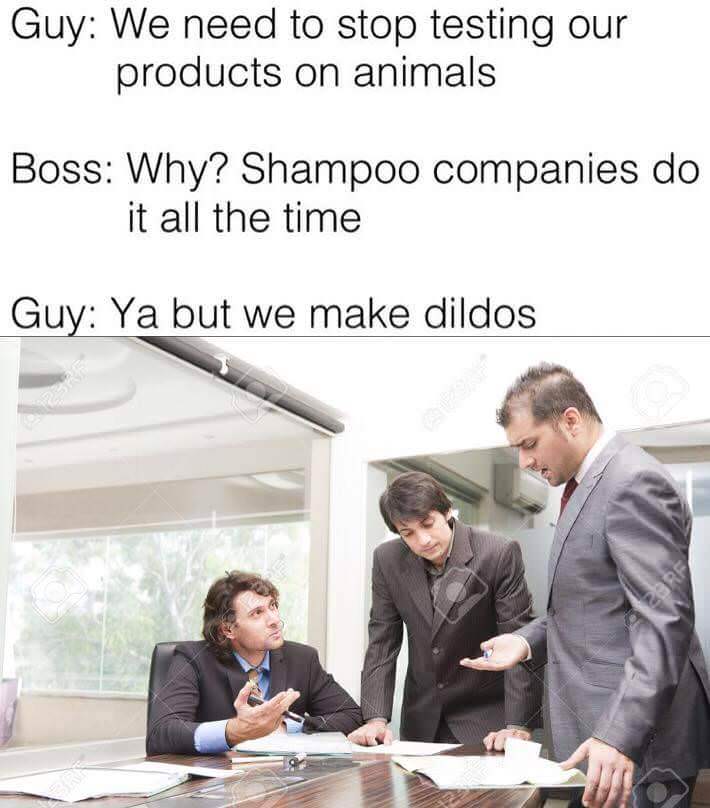 30 Dumb Memes That Will Make You Question The Future Of Humor 14 Stop testing products on animals - Dumb Memes