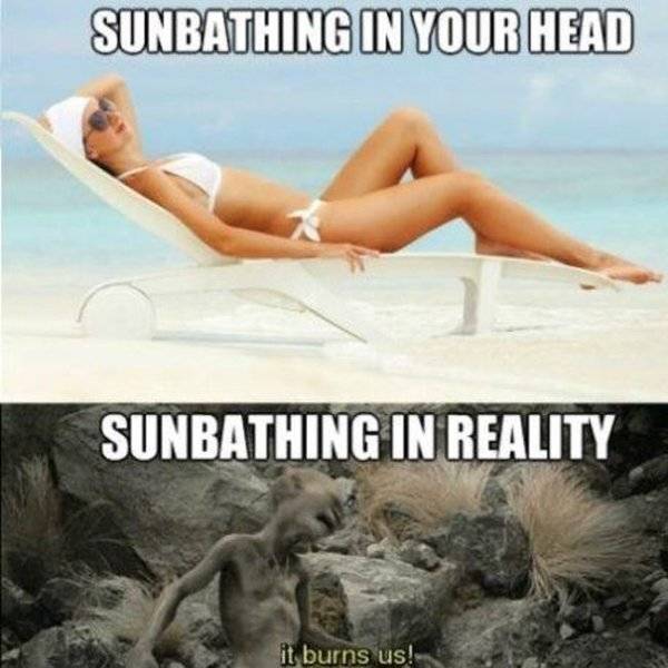 35 Summer Memes That Will Make You Sweat… With Laughter! 26 Sunbathing in your head - summer memes