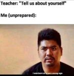 tell us about yourself meme