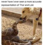 thor and loki meme