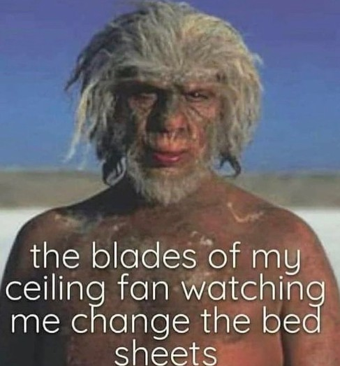 25 Fan Memes That Will Blow You Away With Laughter & Breezy Vibes 16 The blades of my ceiling fan - Fan Memes