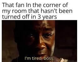 25 Fan Memes That Will Blow You Away With Laughter & Breezy Vibes 17 The fan in the corner of the room - Fan Memes