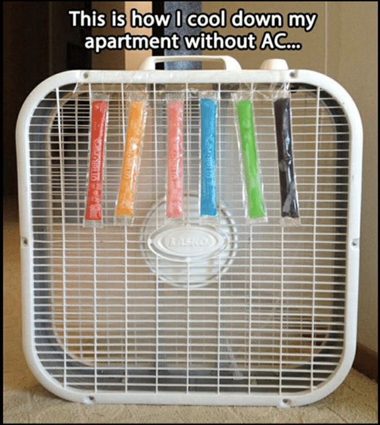 25 Fan Memes That Will Blow You Away With Laughter & Breezy Vibes 18 This is how I cool my apartment - Fan Memes