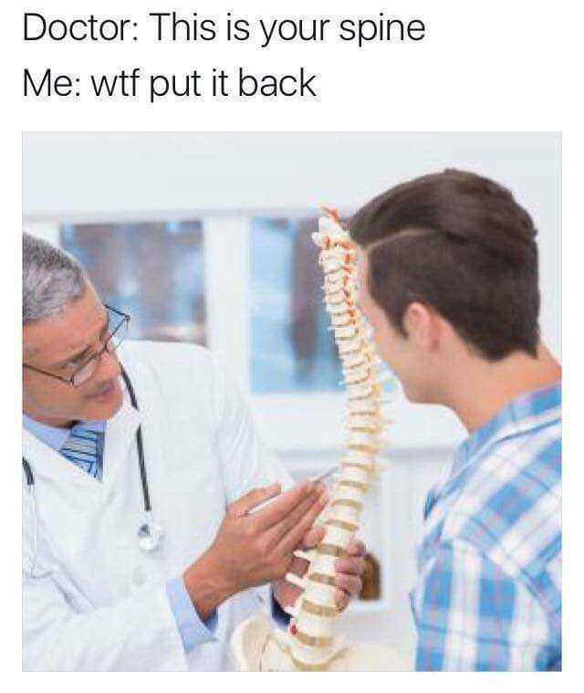 30 Dumb Memes That Will Make You Question The Future Of Humor 16 This is your spine - Dumb Memes