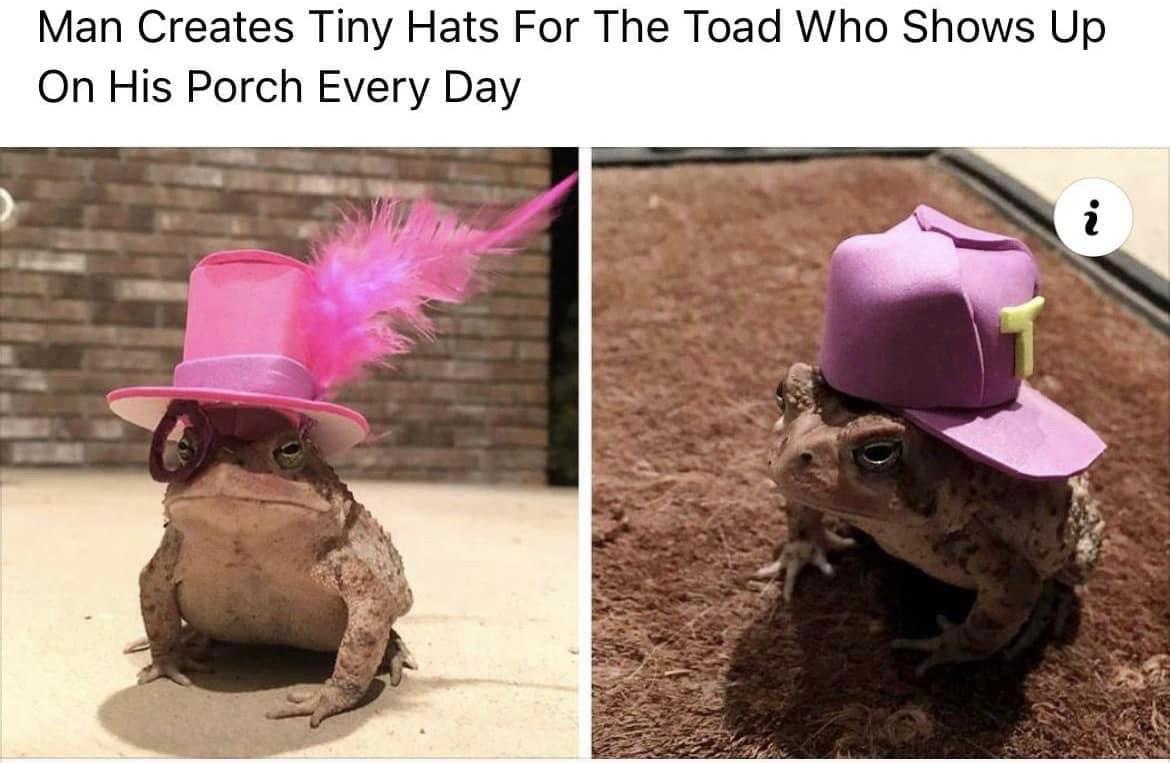 20 Happy Friday Memes To Help You Crawl Your Way To The Weekend Finish Line 16 Tiny hat for toad - Happy Friday memes