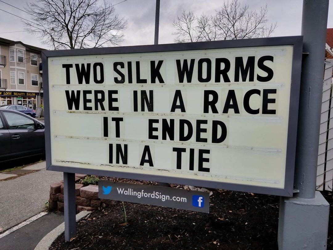 55 Iconic Seattle Gas Station's Signboard With Witty Messages & Funny Slogans 43 Two silk worms were in a race - Seattle Gas Station Signboards
