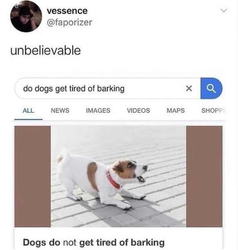 20 Wholesome Dog Memes That Are Paw-sitively Paw-some 14 Unbelivable - Wholesome Dog Memes