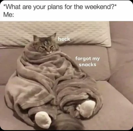 I Only Date Bad Boys 1 plan for the weekend meme