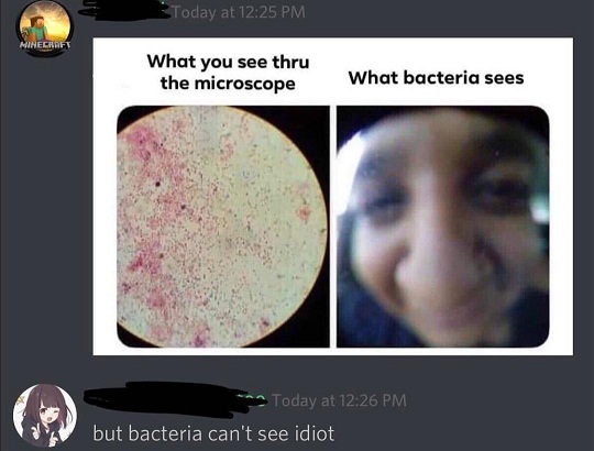 50 People Who Completely Missed The Joke 45 What bacteria sees