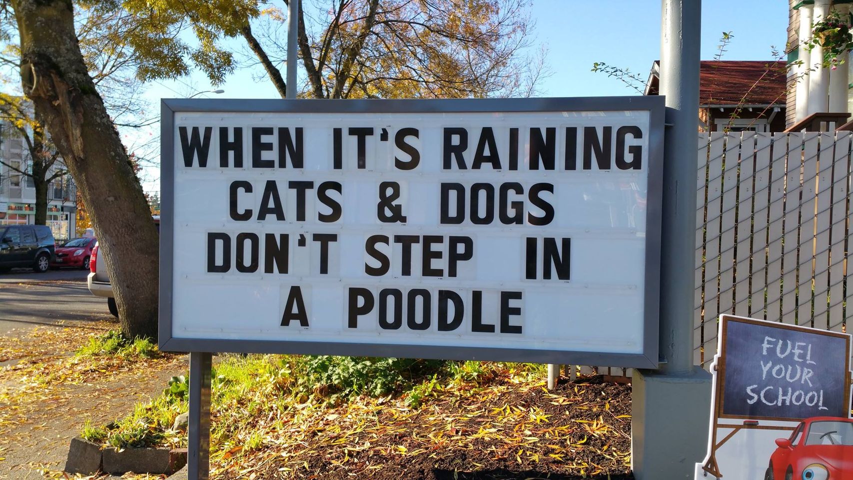 55 Iconic Seattle Gas Station's Signboard With Witty Messages & Funny Slogans 48 When its raining cats and dogs - Seattle Gas Station Signboards