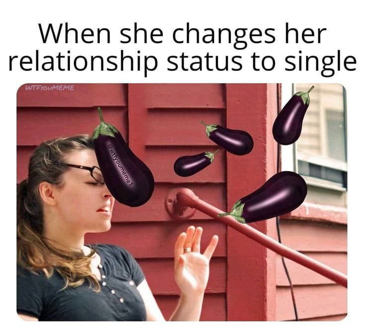 35 Nasty Memes That Cross The Line 27 When she changes her relationship status to single - nasty memes