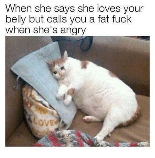 25 Hilarious Crying Cat Memes That Will Have You In Tears…Of Laughter! 14 When she says she loves you - Crying Cat Memes