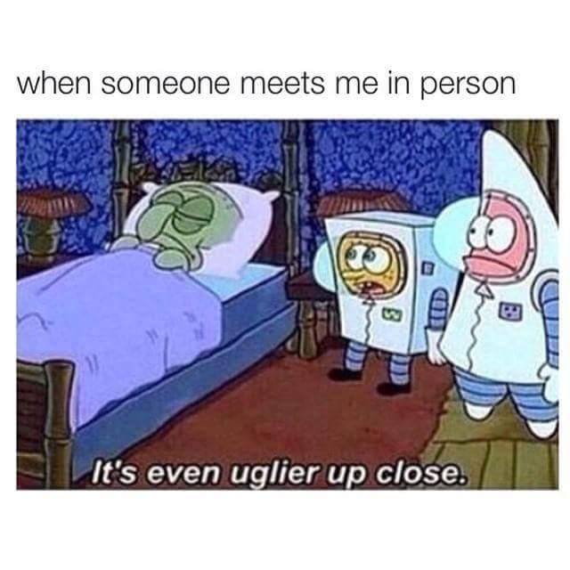 30 Dumb Memes That Will Make You Question The Future Of Humor 18 When someone meets me in person - Dumb Memes