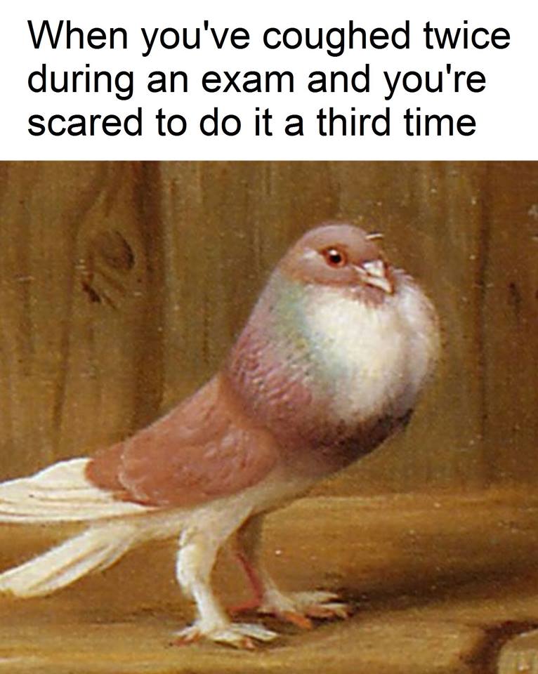 30 Funny Art Memes That Will Make You Appreciate The Lighter Side Of Fine Arts 17 When you coughed twice