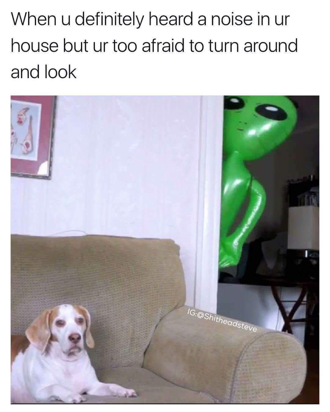 25 Funny Memes That Will Send You Into Fits of Laughter 17 When you heard a noise - Funny Memes