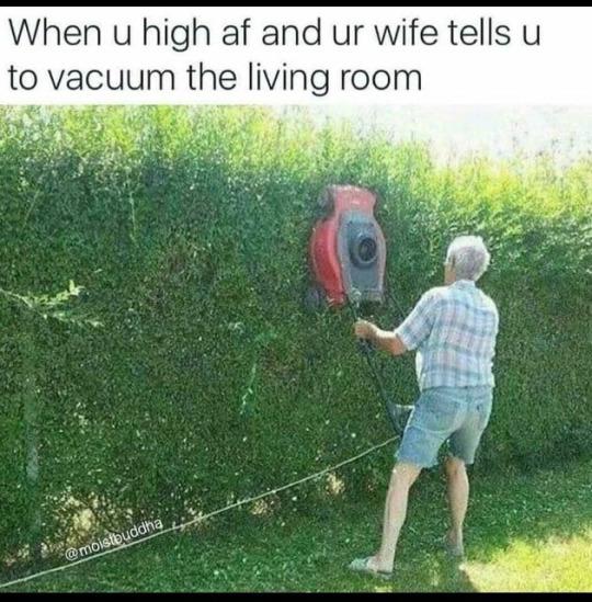 30 Dumb Memes That Will Make You Question The Future Of Humor 21 When you high AF - Dumb Memes