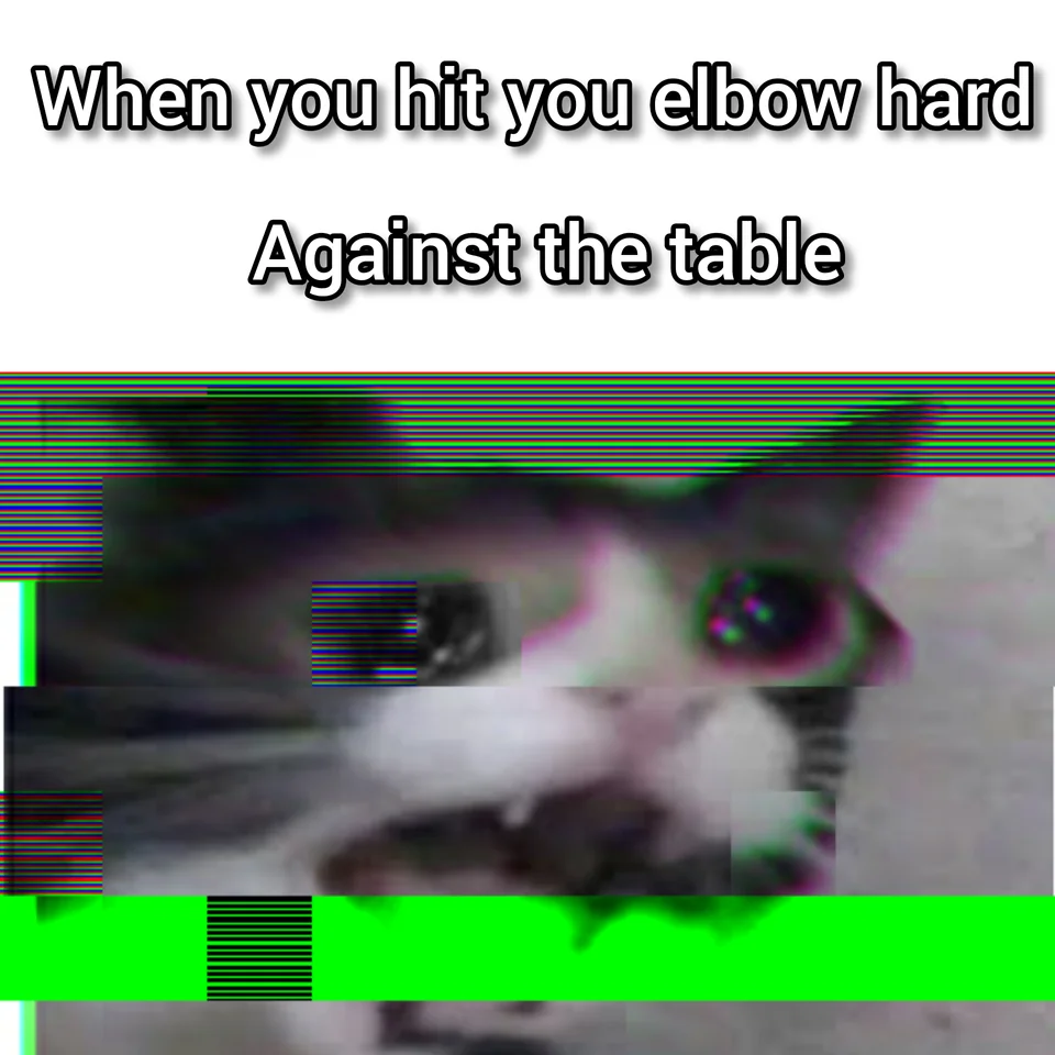 25 Hilarious Crying Cat Memes That Will Have You In Tears…Of Laughter! 16 When you hit your elbow against the table - Crying Cat Memes
