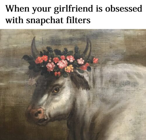 30 Funny Art Memes That Will Make You Appreciate The Lighter Side Of Fine Arts 21 When your girlfriend is obessed with snapchat filters