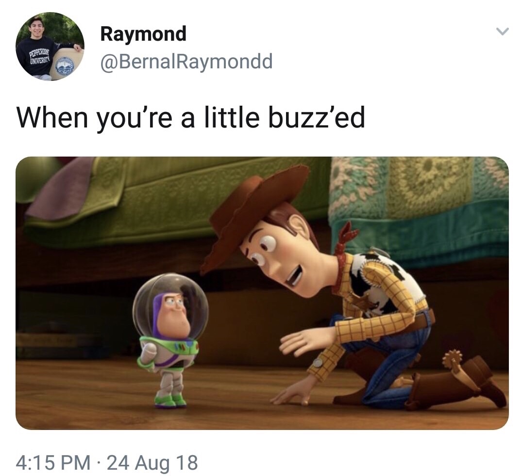 30 Stupid Memes That Deserve An Eye Roll 23 When youre a little buzzed - stupid memes