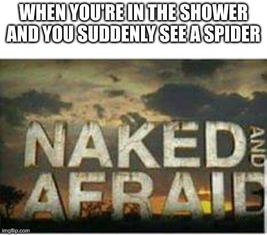 Gut Busting Memes: 28 Hilarious Internet Gems You Can't Miss 24 When youre in the shower and see a spider - Internet Gems