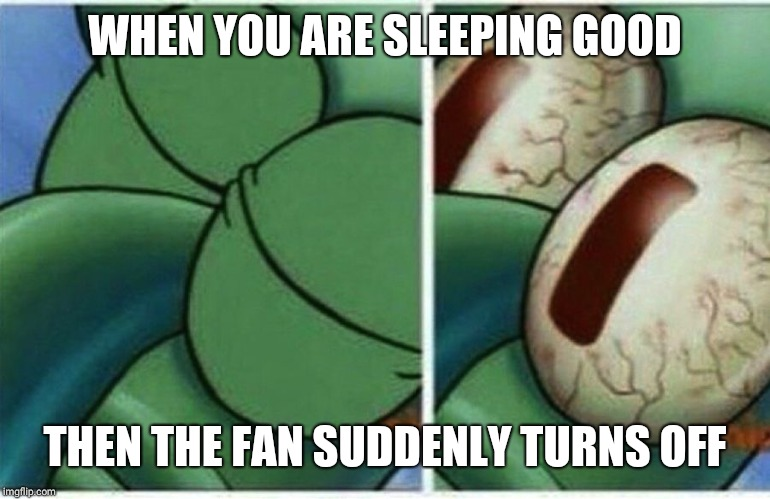 25 Fan Memes That Will Blow You Away With Laughter & Breezy Vibes 24 When youre sleeping good - Fan Memes
