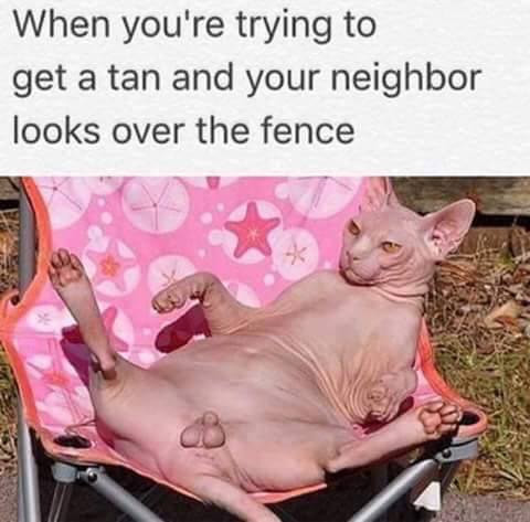 30 Dumb Memes That Will Make You Question The Future Of Humor 23 When youre trying to get a tan - Dumb Memes