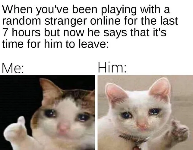25 Hilarious Crying Cat Memes That Will Have You In Tears…Of Laughter! 17 When youve been playing online - Crying Cat Memes