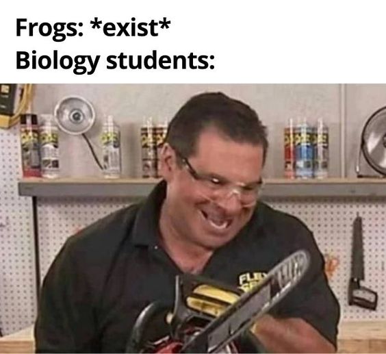 45 Hilarious Science Memes That Will Make Your Brain Cells Dance 39 Who said science teachers and students have nothing in common - Science Memes