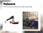 Yoga vs Vodka Memes - FG