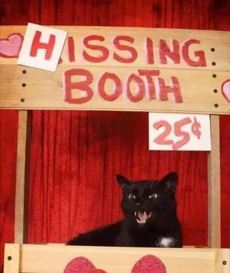 25 Clawsome Cat Memes: Get Ready To Laugh Your Whiskers Off! 4 hisiing booth - Cat Memes