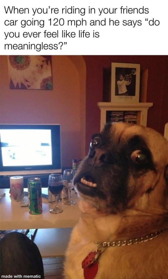 25 Random Memes For Maximum Giggles 6 life is meaningless - Random Memes