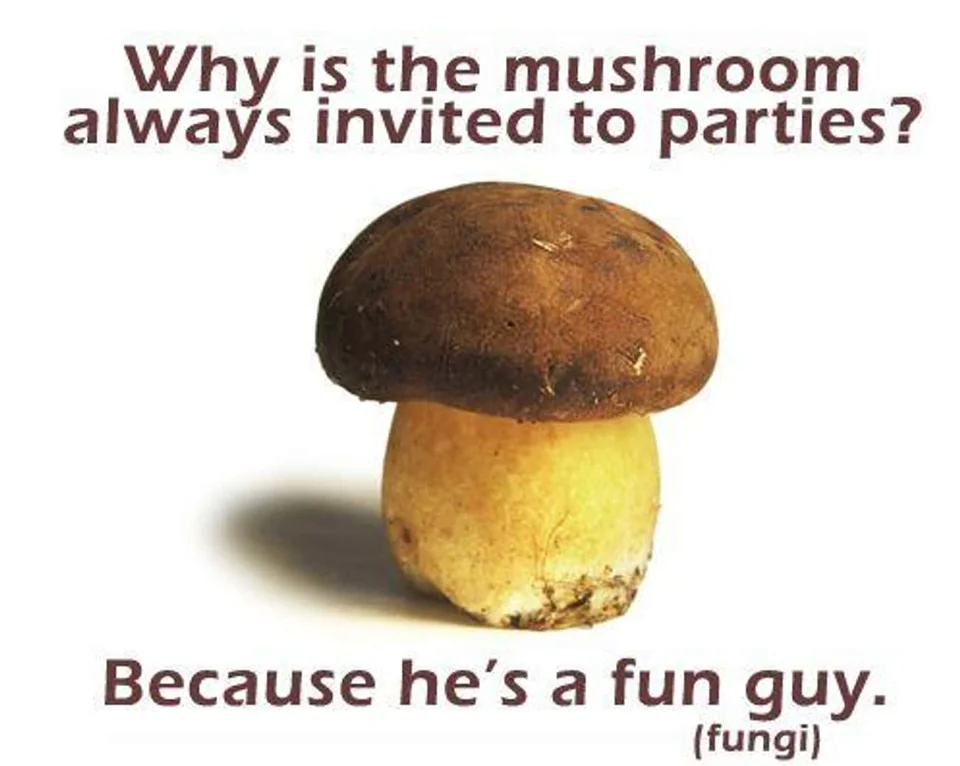 45 Hilarious Science Memes That Will Make Your Brain Cells Dance 19 mushroom in my heart for you - Science Memes