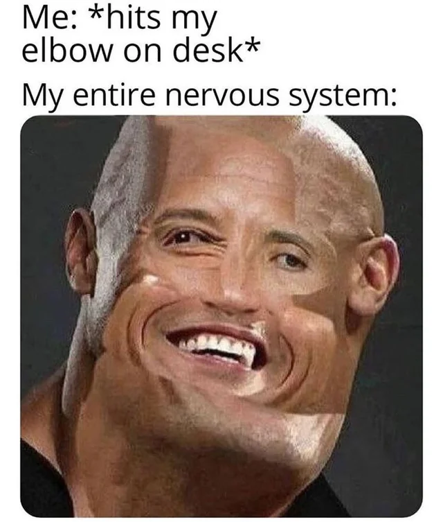 45 Hilarious Science Memes That Will Make Your Brain Cells Dance 32 the impact tho T.T - Science Memes