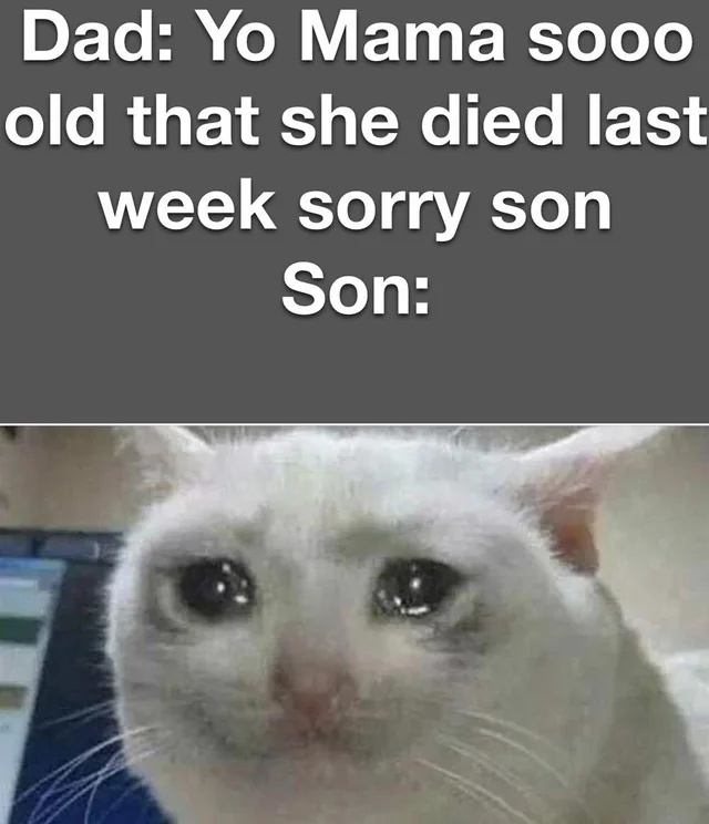 25 Hilarious Crying Cat Memes That Will Have You In Tears…Of Laughter! 19 you momma - Crying Cat Memes