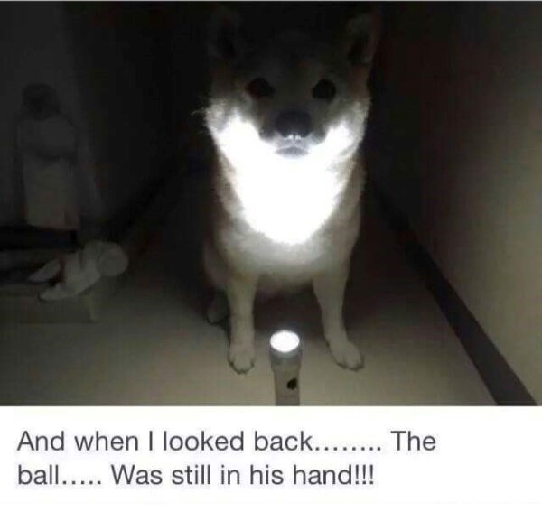 A Horror Story 1 horror story meme