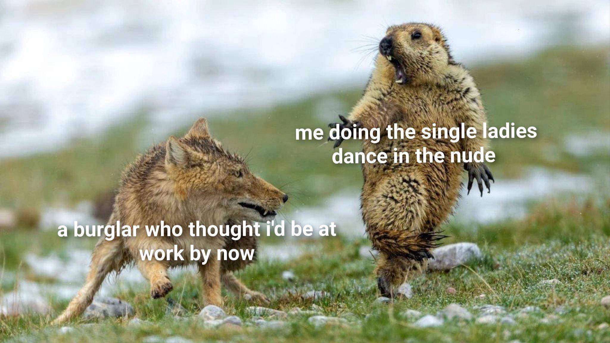 Being Alive is So Tiring: 28 Funny Memes to Make You Laugh and Relate 1 A burgular - Funny Memes