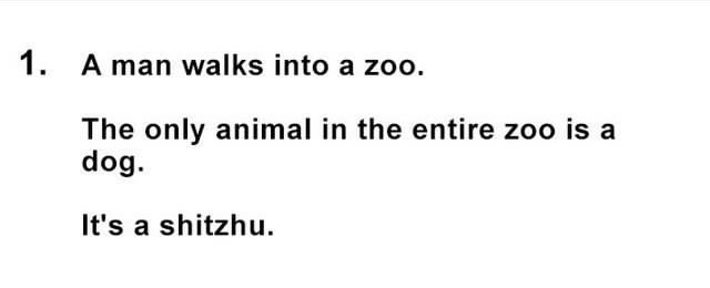Oh Lord, Here They Come: 25 Dumb Jokes That Will Have You Shaking Your Head 1 A man walks into zoo - dumb jokes