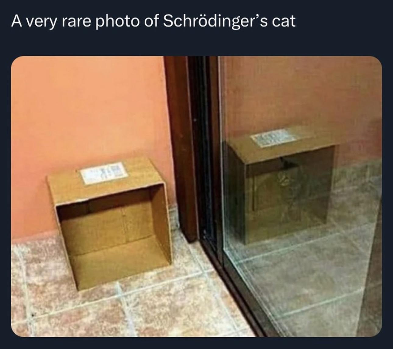 25 Funny Sunday Memes to Make Your Lazy Day Hilarious 1 A vaery rarephoto - Funny Sunday Memes