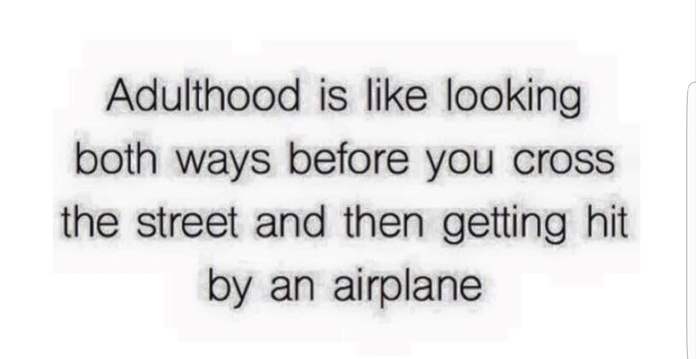 22 Memes That Will Make Your Last Two Brain Cells Giggle 1 Adulthood is like looking both ways