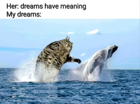 Dreams have meaning meme