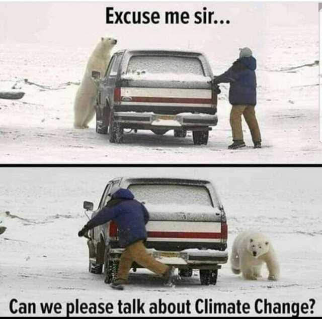 Zoological Zingers: 30 Animal Memes that are a Laughing Matter 6 Can we talk about climate change - Animal Memes