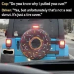 Donut memes