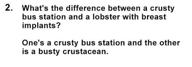 Oh Lord, Here They Come: 25 Dumb Jokes That Will Have You Shaking Your Head 2 Crusty Bus station and lobster - dumb jokes
