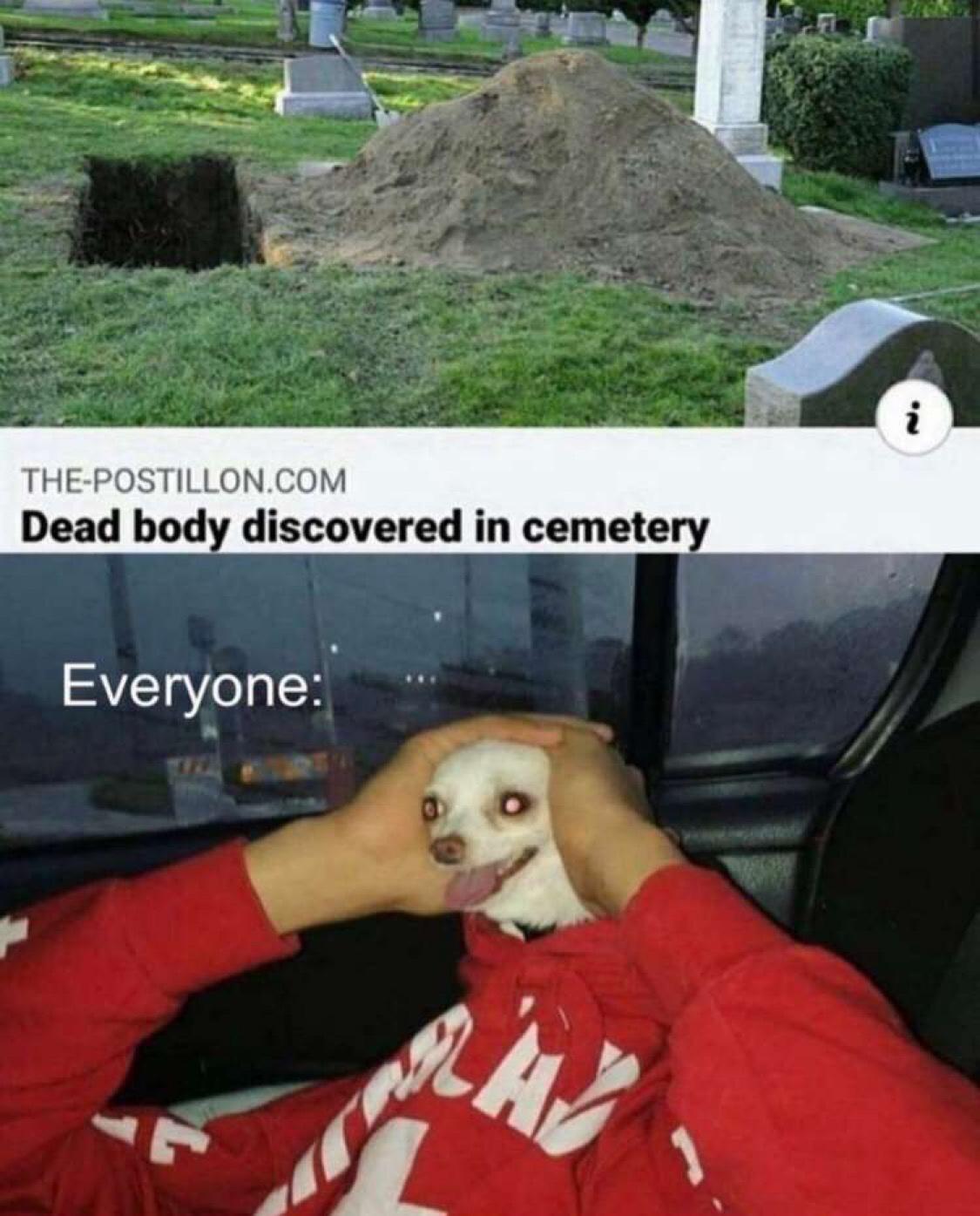 25 Crazy Memes That Will Have You Giggling When Everyone Else Is Asleep 4 Dead body discovered in cemetry