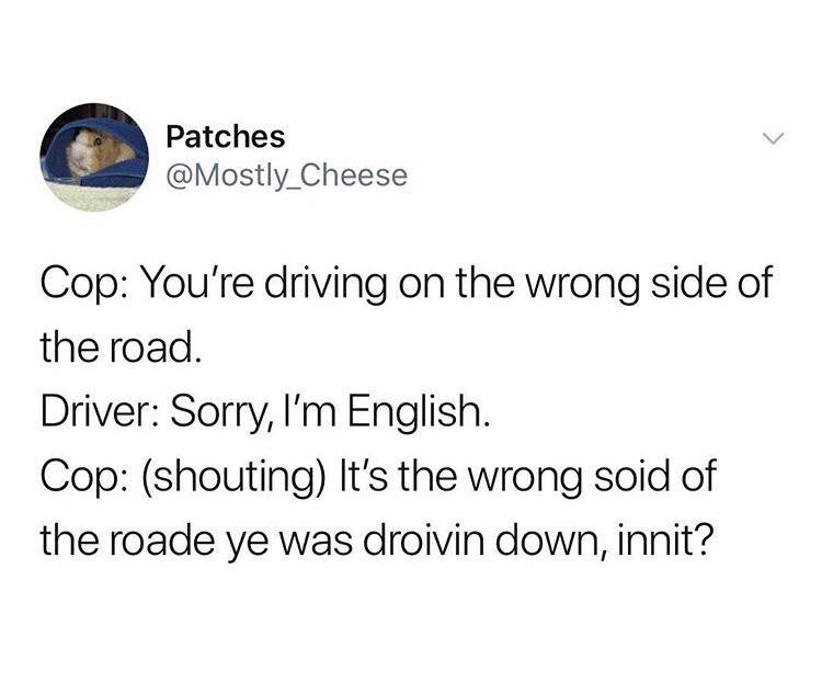 22 Memes That Will Make Your Last Two Brain Cells Giggle 6 Driving on wrong side